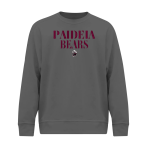 Paideia High Bears <span class="pdp-name-mascot">Paideia High School Bears</span> BSN SPORTS Men's Cotton Rich Fleece Crew Neck Front Thumbnail