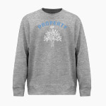 Martin Luther Day School <span class="pdp-name-mascot">Martin Luther Learning Center Lions</span> BSN SPORTS Men's Cotton Rich Fleece Crew Neck Front Thumbnail