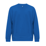 SOUTH PARK HIGH SCHOOL EAGLES <span class="pdp-name-mascot">SOUTH PARK EAGLES</span> BSN SPORTS Men's Cotton Rich Fleece Crew Neck Back Thumbnail