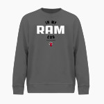 Jamesville DeWitt Red Rams <span class="pdp-name-mascot">Jamesville DeWitt Red Rams or JD Red Rams</span> BSN SPORTS Youth Cotton Rich Fleece Crew Neck Front Thumbnail