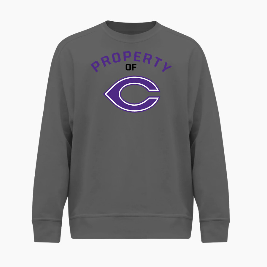 Carlsbad Lancers <span class="pdp-name-mascot">Carlsbad Lancers</span> BSN SPORTS Youth Cotton Rich Fleece Crew Neck