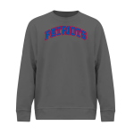 Clarkson-Leigh Patriots <span class="pdp-name-mascot">Clarkson-Leigh Patriots</span> BSN SPORTS Youth Cotton Rich Fleece Crew Neck Front Thumbnail