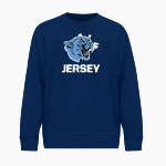 JERSEY COMMUNITY HIGH SCHOOL PANTHERS BSN SPORTS Youth Cotton Rich Fleece Crew Neck Front Thumbnail