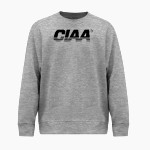 Central Intercollegiate Athletic Association BSN SPORTS Youth Cotton Rich Fleece Crew Neck Front Thumbnail