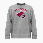 SPARTANBURG CHRISTIAN ACADEMY WARRIORS <span class="pdp-name-mascot">SPARTANBURG WARRIORS</span> BSN SPORTS Youth Cotton Rich Fleece Crew Neck Front Thumbnail