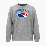 American Cornhole <span class="pdp-name-mascot">American Cornhole</span> BSN SPORTS Youth Cotton Rich Fleece Crew Neck Front Thumbnail
