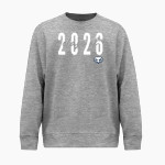 Legacy Eagles <span class="pdp-name-mascot">Legacy Charter Eagles</span> BSN SPORTS Youth Cotton Rich Fleece Crew Neck Front Thumbnail