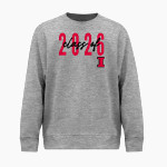 INDEPENDENCE HIGH SCHOOL WILDCATS <span class="pdp-name-mascot">INDEPENDENCE WILDCATS</span> BSN SPORTS Youth Cotton Rich Fleece Crew Neck Front Thumbnail