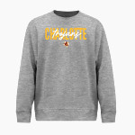 CHARLOTTE HIGH SCHOOL TROJANS BSN SPORTS Youth Cotton Rich Fleece Crew Neck Front Thumbnail
