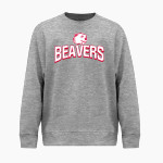 Minot State Beavers <span class="pdp-name-mascot">Minot State Beavers</span> BSN SPORTS Youth Cotton Rich Fleece Crew Neck Front Thumbnail