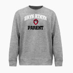 Bryn Athyn College The Official Store of the Lions <span class="pdp-name-mascot">Bryn Athyn College Lions</span> BSN SPORTS Youth Cotton Rich Fleece Crew Neck Front Thumbnail