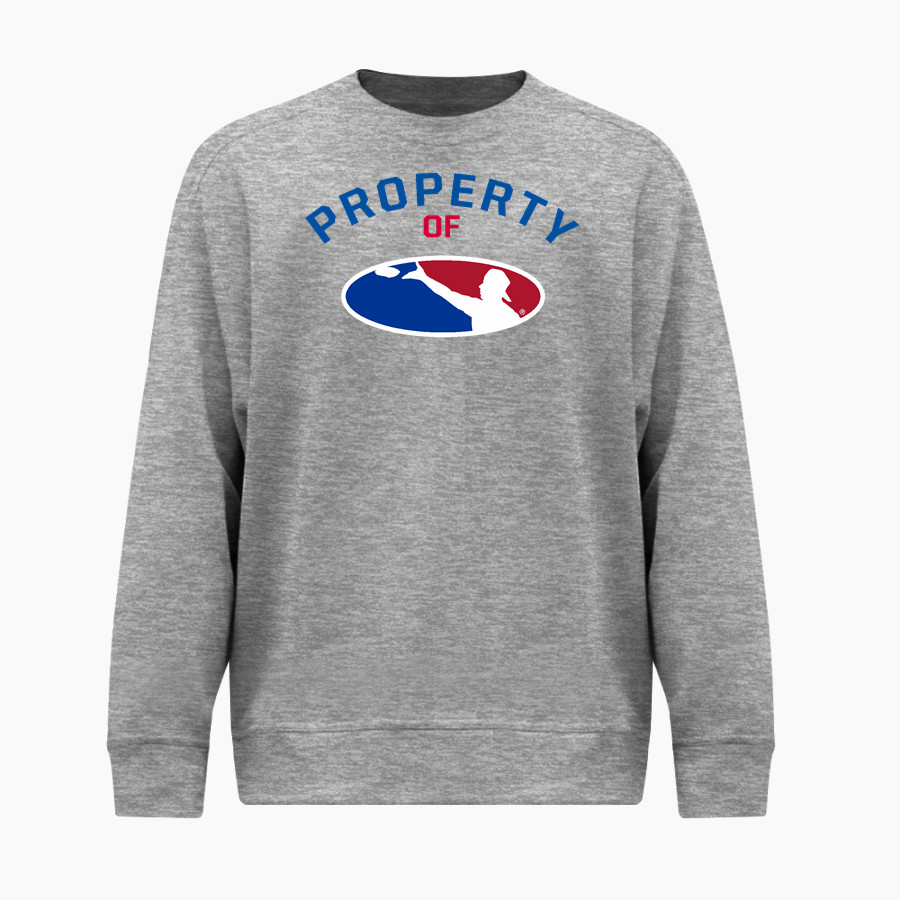 American Cornhole <span class="pdp-name-mascot">American Cornhole</span> BSN SPORTS Youth Cotton Rich Fleece Crew Neck