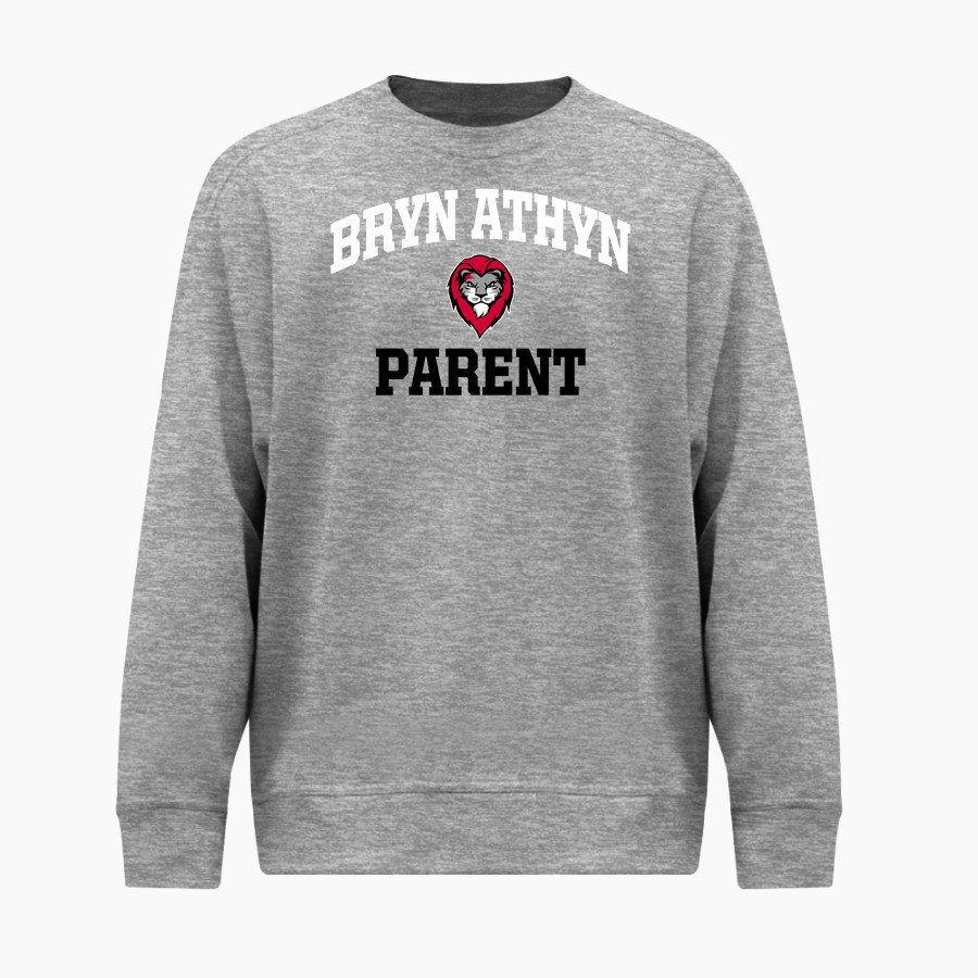 Bryn Athyn College The Official Store of the Lions <span class="pdp-name-mascot">Bryn Athyn College Lions</span> BSN SPORTS Youth Cotton Rich Fleece Crew Neck