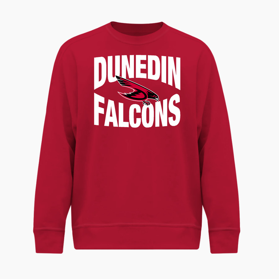 Dunedin Falcons BSN SPORTS Youth Cotton Rich Fleece Crew Neck