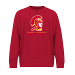 Seton Catholic Prep Sentinels <span class="pdp-name-mascot">Seton Catholic Sentinels</span> BSN SPORTS Youth Cotton Rich Fleece Crew Neck Front Thumbnail