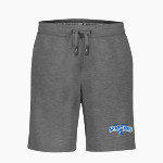 MID VALLEY HIGH SCHOOL SPARTANS <span class="pdp-name-mascot">MID VALLEY SPARTANS</span> BSN SPORTS Men's Cotton Rich Fleece Shorts Front Thumbnail