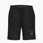 ACHIEVEMENT FIRST AMISTAD HIGH SCHOOL WOLVES <span class="pdp-name-mascot">ACHIEVEMENT FIRST AMISTAD WOLVES</span> BSN SPORTS Youth Cotton Rich Fleece Shorts Front Thumbnail
