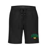 AVIATION HIGH SCHOOL FLYERS <span class="pdp-name-mascot">AVIATION FLYERS</span> BSN SPORTS Youth Cotton Rich Fleece Shorts Front Thumbnail