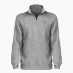 Delphian Dragons <span class="pdp-name-mascot">Delphian Dragons</span> BSN SPORTS Women's Cotton Rich Fleece 1/4 Zip Front Thumbnail