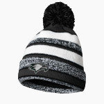 Zionsville Eagles <span class="pdp-name-mascot">Zionsville Eagles</span> BSN SPORTS Pom Beanie Front Thumbnail