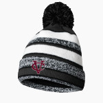 Vassar Brewers <span class="pdp-name-mascot">Vassar College Brewers</span> BSN SPORTS Pom Beanie Front Thumbnail