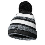 Fenwick Friars The Official Online Store <span class="pdp-name-mascot">Fenwick Friars</span> BSN SPORTS Pom Beanie Front Thumbnail