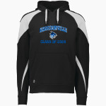 HARRISONVILLE HIGH SCHOOL WILDCATS Holloway Men's Prospect Hoodie Front Thumbnail
