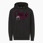 Paideia High Bears <span class="pdp-name-mascot">Paideia High School Bears</span> MV Sport Men's Fundamental Fleece Hoodie Front Thumbnail