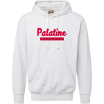 PALATINE HIGH SCHOOL PIRATES <span class="pdp-name-mascot">PALATINE PIRATES</span> MV Sport Men's Vintage Fleece Hoodie Front Thumbnail