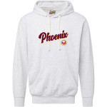 Achievement First University Prep Phoenix <span class="pdp-name-mascot">Achievement First University Prep High School Phoenix</span> MV Sport Men's Vintage Fleece Hoodie Front Thumbnail