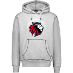 Park Elementary Lions <span class="pdp-name-mascot">Park Elementary Lions</span> MV Sport Men's Pro-Weave Contrast Stitch Hoodie Front Thumbnail