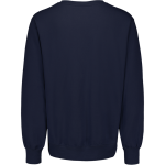 Grand Traverse Academy Mustangs <span class="pdp-name-mascot">Grand Traverse Academy Mustangs</span> MV Sport Mens Fundamental Fleece Crew Back Thumbnail