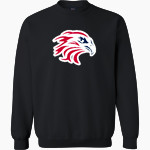 Firebirds Fastpitch The Official Online Store MV Sport Men's Fundamental Fleece Crew Front Thumbnail