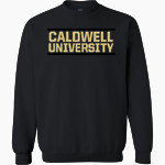 Caldwell Cougars <span class="pdp-name-mascot">Caldwell Cougars</span> MV Sport Men's Fundamental Fleece Crew Front Thumbnail