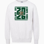 CAMPO VERDE HIGH SCHOOL COYOTES <span class="pdp-name-mascot">CAMPO VERDE COYOTES</span> MV Sport Men's Fundamental Fleece Crew Front Thumbnail