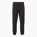 ALPHA OMEGA ACADEMY LIONS <span class="pdp-name-mascot">ALPHA OMEGA ACADEMY LIONS</span> MV Sport Men's Fundamental Fleece Pants Front Thumbnail