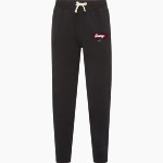 Ludlow Lions <span class="pdp-name-mascot">Lions</span> MV Sport Men's Vintage Fleece Pant Front Thumbnail