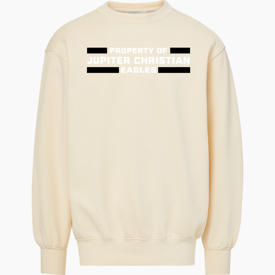 Jupiter Christian Eagles MV Sport Men's Coastal Color Crew