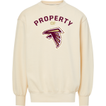 WM E GRADY VOC TECH SCHOOL FALCONS <span class="pdp-name-mascot">GRADY HIGH SCHOOL FALCONS</span> MV Sport Men's Coastal Color Crewneck Sweatshirt Front Thumbnail