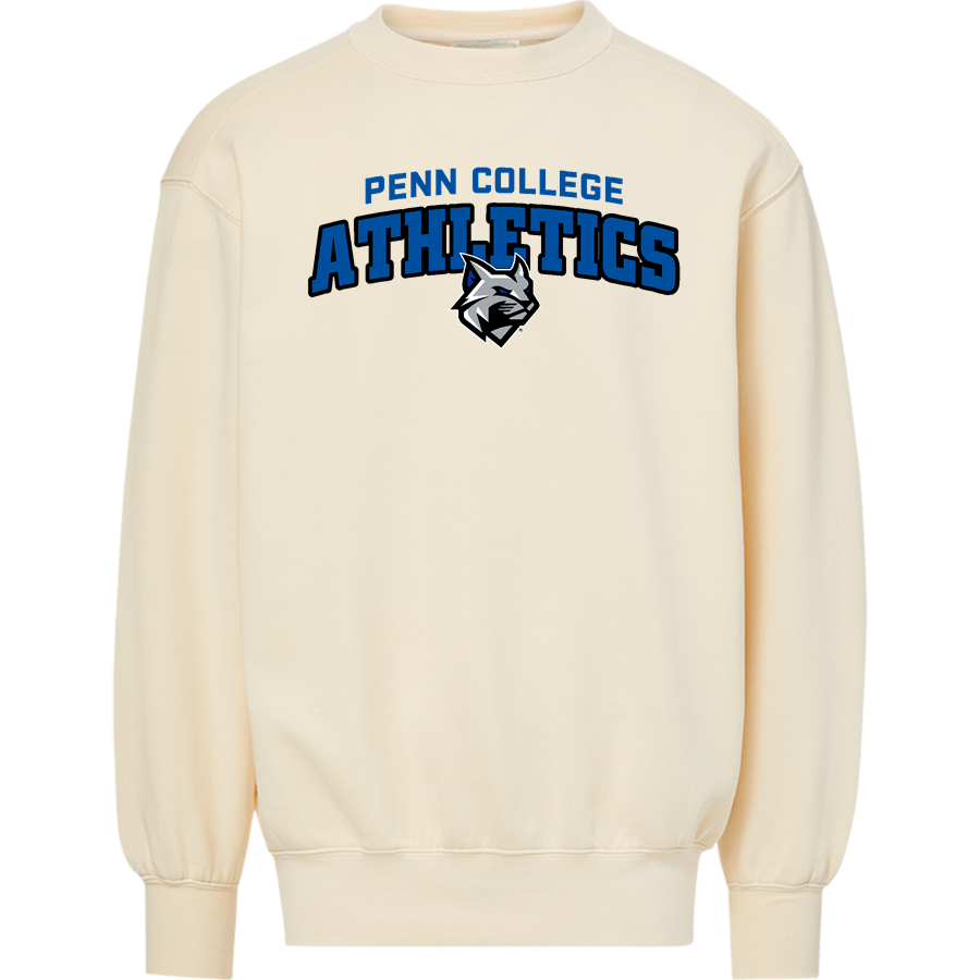 Penn College Wildcats Online Store <span class="pdp-name-mascot">Penn College Wildcats</span> MV Sport Men's Coastal Color Crewneck Sweatshirt