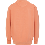 Schuylerville Horses <span class="pdp-name-mascot">Schuylerville Black Horses</span> MV Sport Men's Coastal Color Crewneck Sweatshirt Back Thumbnail