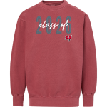 PALATINE HIGH SCHOOL PIRATES <span class="pdp-name-mascot">PALATINE PIRATES</span> MV Sport Men's Coastal Color Crewneck Sweatshirt Front Thumbnail