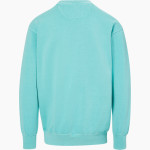 ACADEMY AT PALUMBO HIGH SCHOOL GRIFFINS MV Sport Men's Coastal Color Crew Back Thumbnail