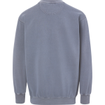 Windermere Wolverines <span class="pdp-name-mascot">Windermere Wolverines</span> MV Sport Men's Coastal Color Crew Back Thumbnail