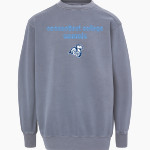 Connecticut College Camels <span class="pdp-name-mascot">Connecticut College Camels</span> MV Sport Men's Coastal Color Crew Front Thumbnail