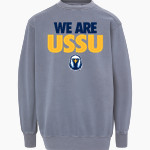 United States Sports University Eagles MV Sport Men's Coastal Color Crew Front Thumbnail