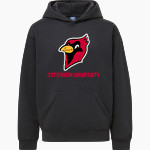 Otterbein University Cardinals MV Sport Youth Buddy Hoodie Front Thumbnail