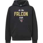 WM E GRADY VOC TECH SCHOOL FALCONS <span class="pdp-name-mascot">GRADY HIGH SCHOOL FALCONS</span> MV Sport Youth Buddy Hoodie Front Thumbnail