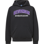 ADLAI E STEVENSON HIGH SCHOOL AMBASSADORS <span class="pdp-name-mascot">ADLAI E STEVENSON AMBASSADORS</span> MV Sport Youth Buddy Hoodie Front Thumbnail