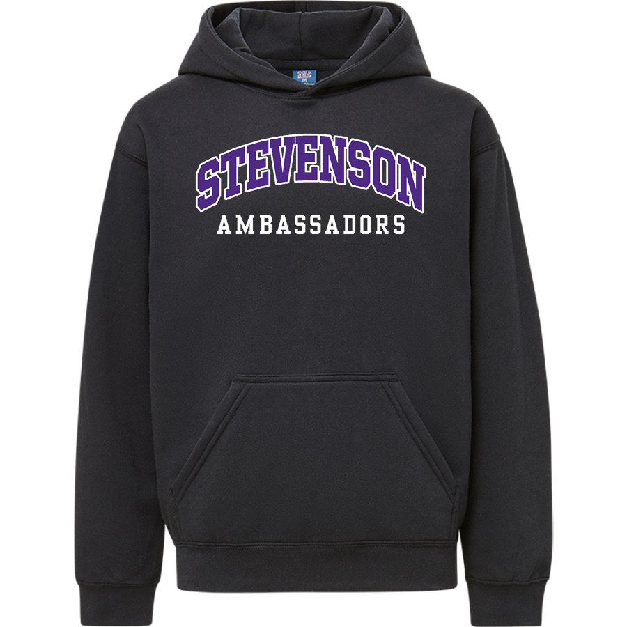 ADLAI E STEVENSON HIGH SCHOOL AMBASSADORS <span class="pdp-name-mascot">ADLAI E STEVENSON AMBASSADORS</span> MV Sport Youth Buddy Hoodie